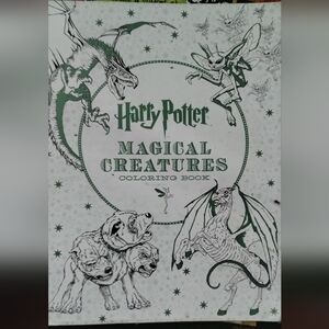 Harry Potter libro de colorear